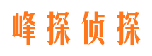 隆安外遇出轨调查取证